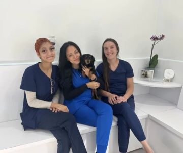 Miami Shores Animal Clinic