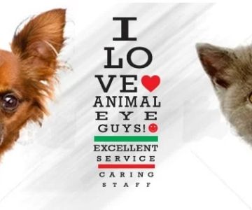 Animal Eye Guys (Miami Bird Road)