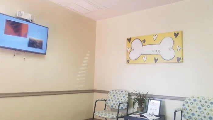 Animal Eye Guys (Miami Bird Road) 12