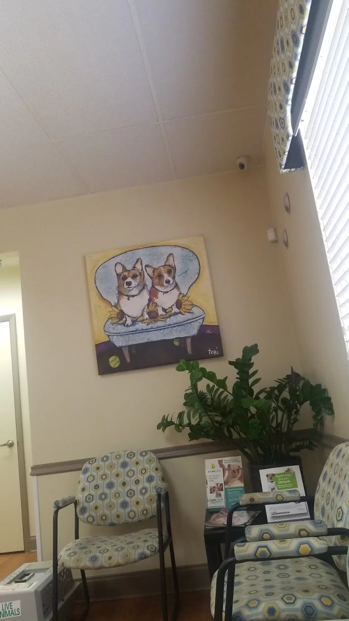 Animal Eye Guys (Miami Bird Road) 12