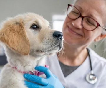 Banfield Pet Hospital