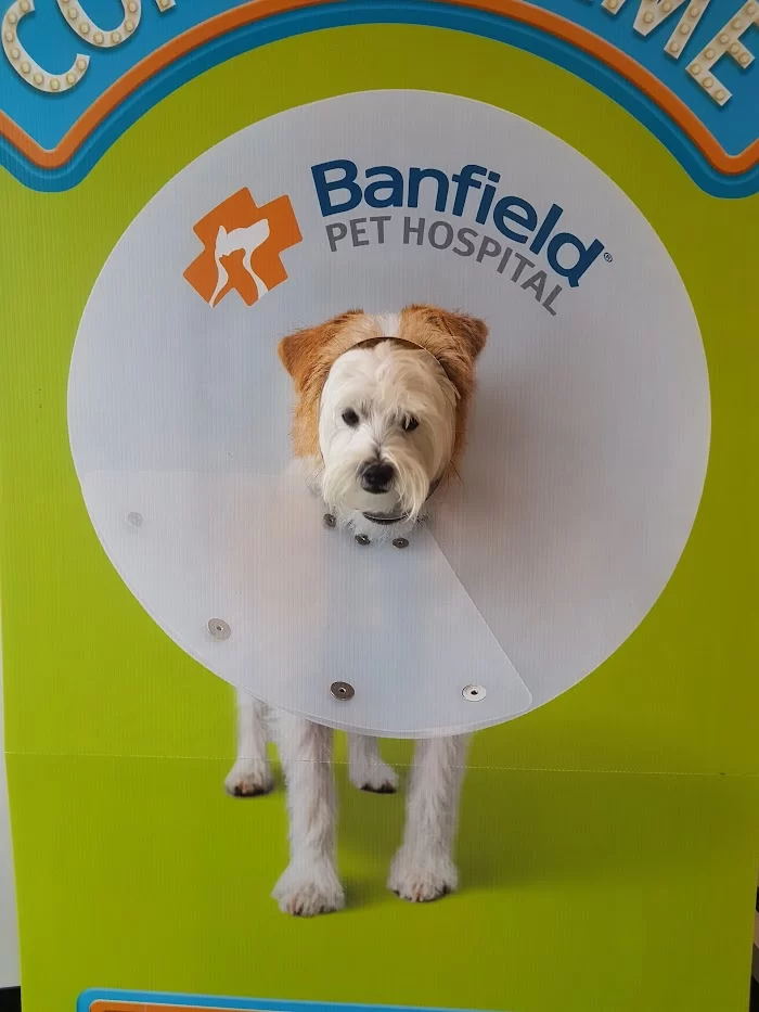 Banfield Pet Hospital 12
