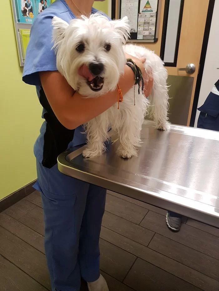 Banfield Pet Hospital 12