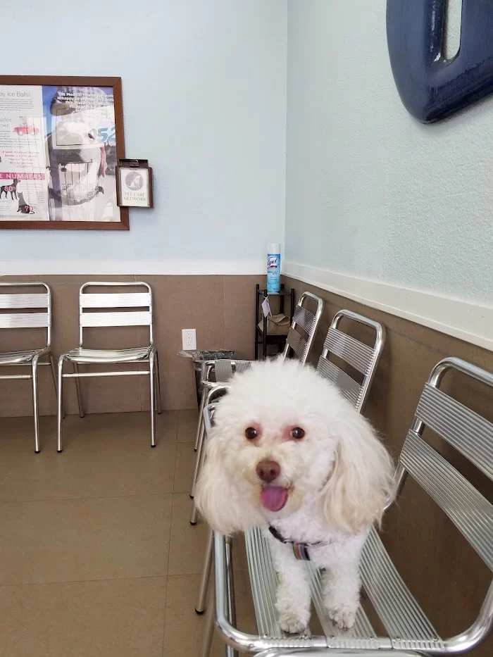 Gomara Animal Clinic 5