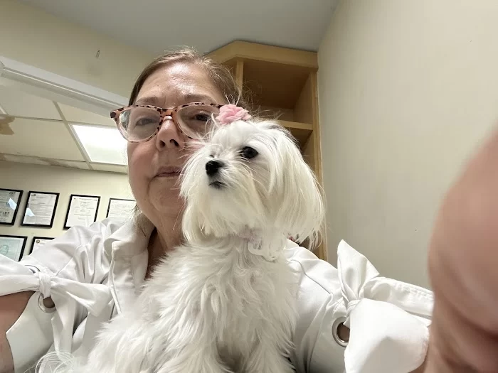 Gomara Animal Clinic 2