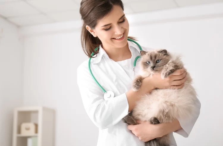 How to Find the Top-Rated Veterinarians in My Area: Your Complete Guide
