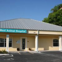 East-West Animal Hospital ico