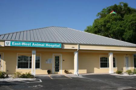 East-West Animal Hospital