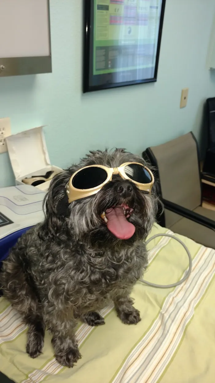 East-West Animal Hospital 12