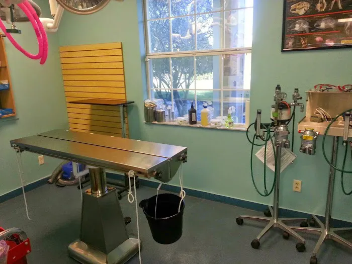 East-West Animal Hospital 12