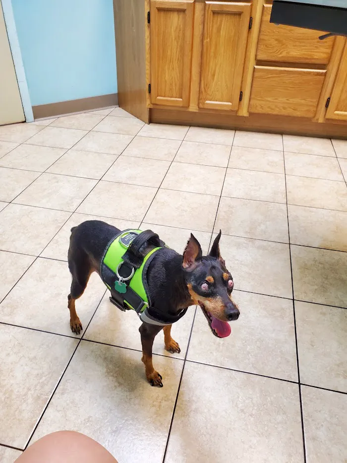 East-West Animal Hospital 12