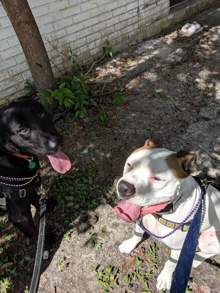 East-West Animal Hospital 12