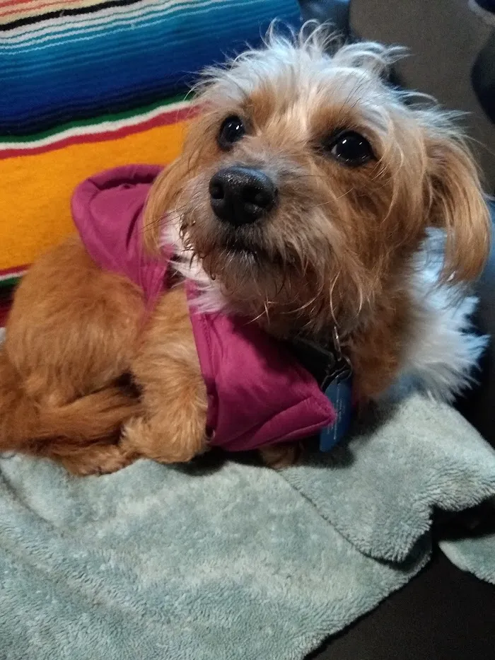 East-West Animal Hospital 12