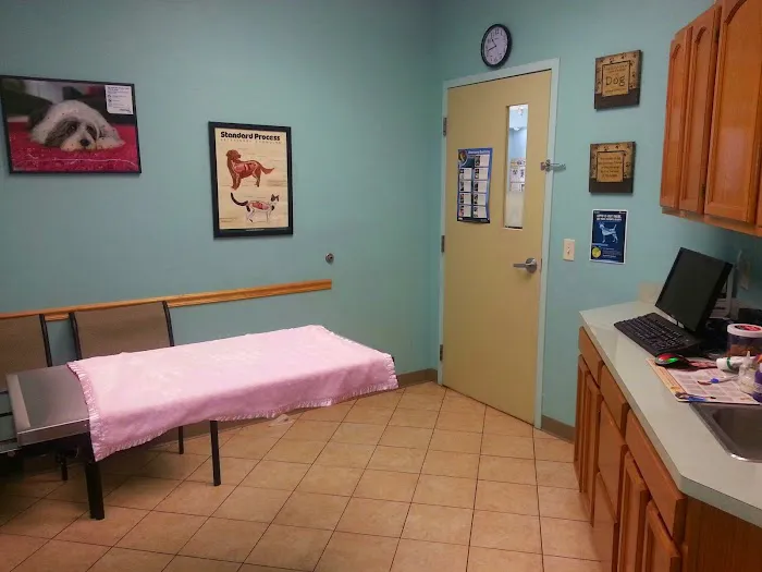 East-West Animal Hospital 12