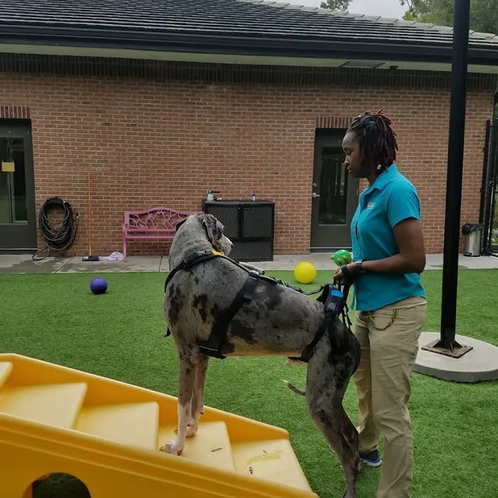 Pebble Creek Animal Hospital 12