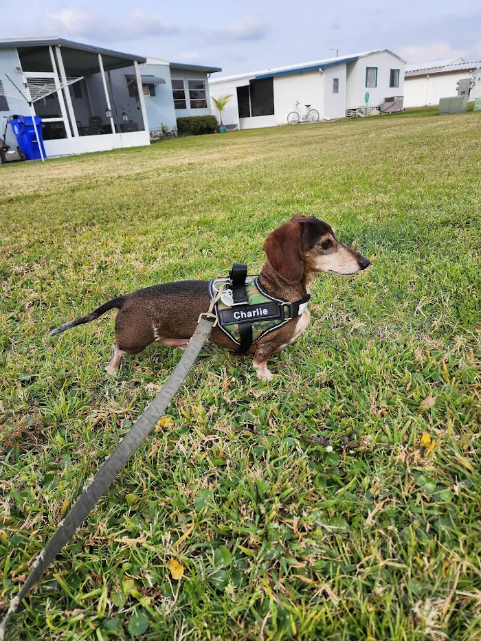 Edgewood Animal Clinic 12