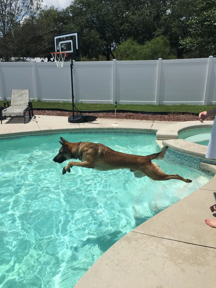 Edgewood Animal Clinic 12