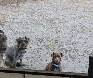 Zephyrhills Veterinary Clinic