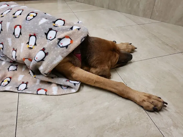 Cleveland Heights Animal Hospital 12