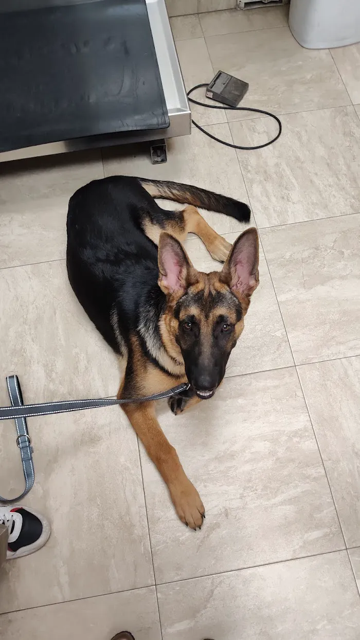 Cleveland Heights Animal Hospital 12