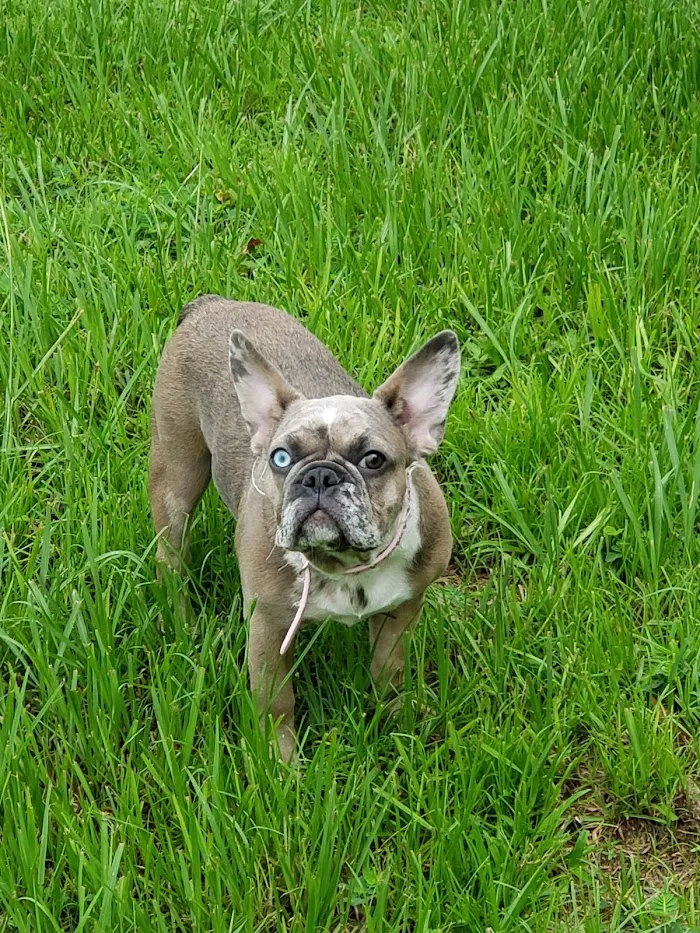 North Polk Animal Hospital 5