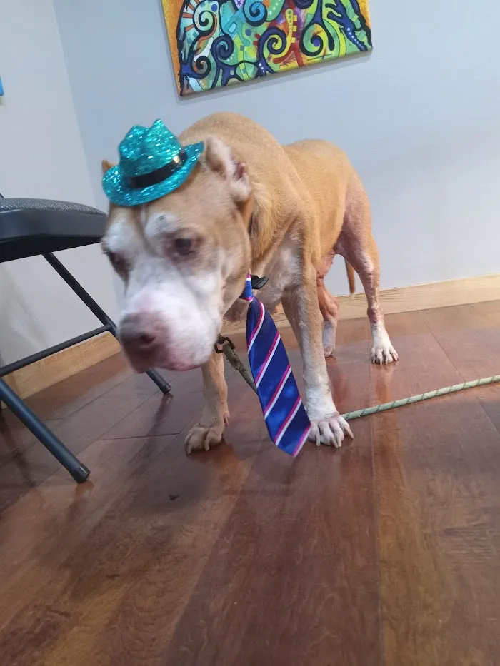 Saddle Creek Veterinary Hospital 6