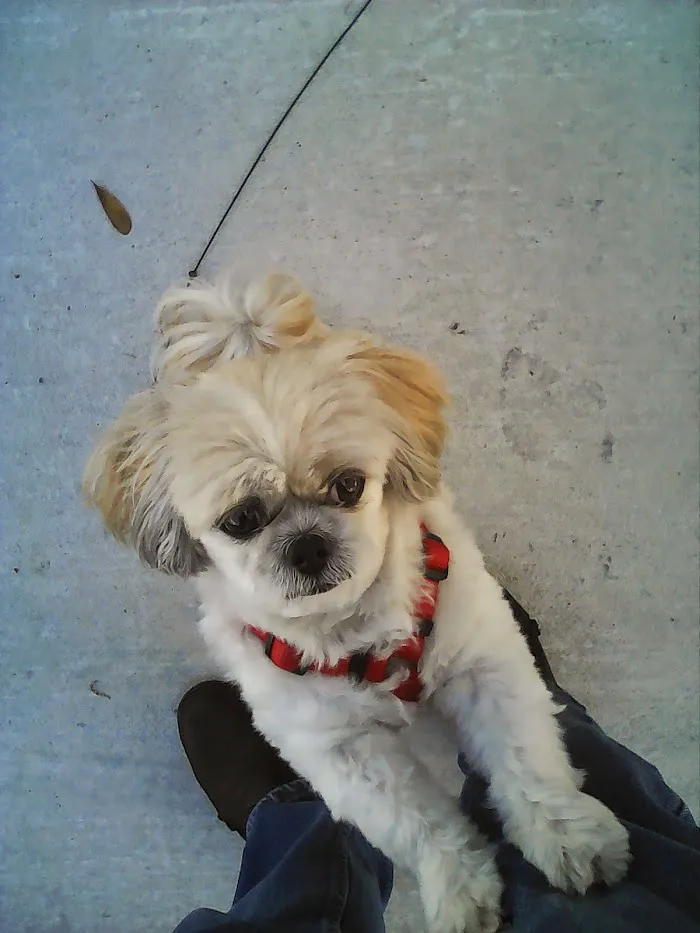 Saddle Creek Veterinary Hospital 7
