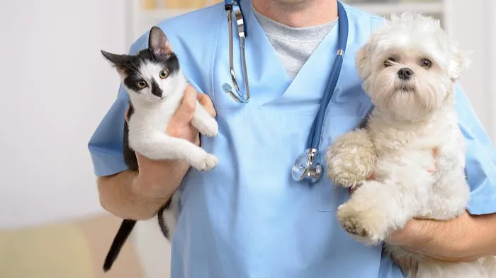 Saddle Creek Veterinary Hospital 1