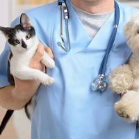Saddle Creek Veterinary Hospital ico