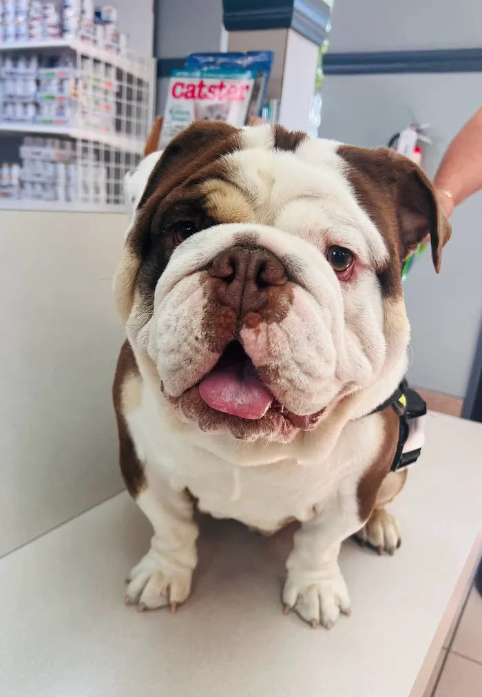 Saddle Creek Veterinary Hospital 4