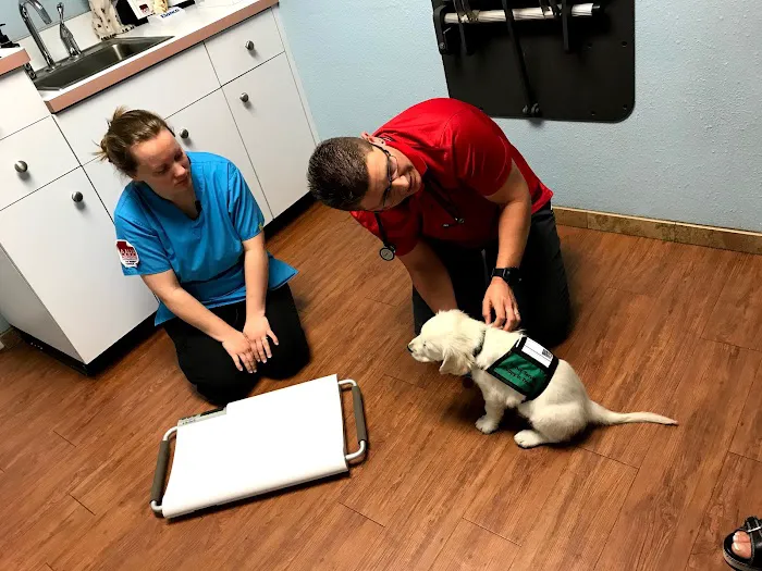 My Pets Animal Hospital 12