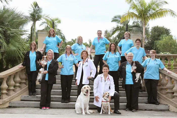 My Pets Animal Hospital 12