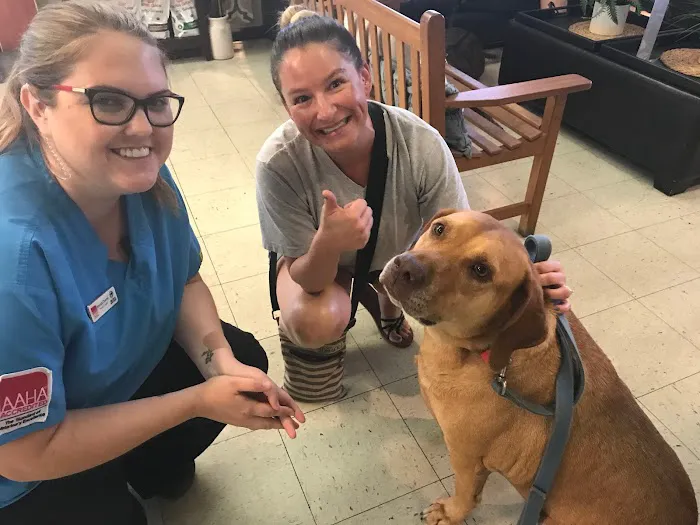 My Pets Animal Hospital 12