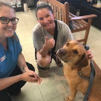 My Pets Animal Hospital ico
