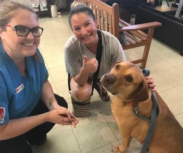 My Pets Animal Hospital