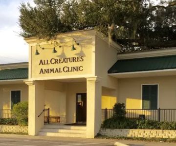 All Creatures Animal Clinic