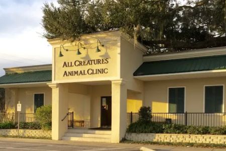 All Creatures Animal Clinic