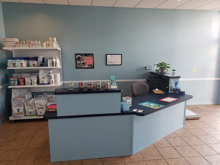 Affordable Pet Hospital 12