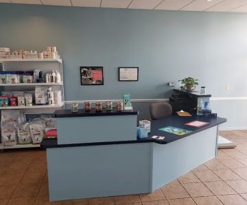 Affordable Pet Hospital