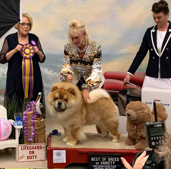Pet Care On Highland 7