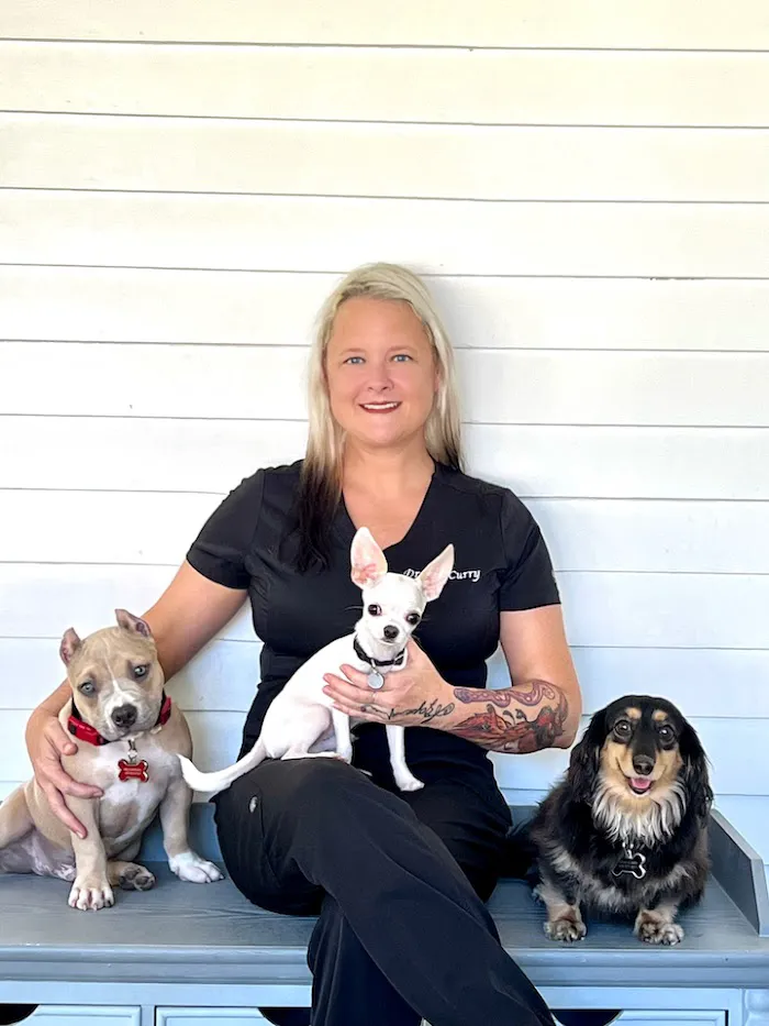 VETS ER: Veterinary Emergency Triage and Surgery 12