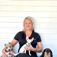 VETS ER: Veterinary Emergency Triage and Surgery ico
