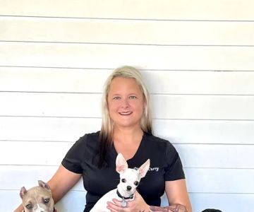 VETS ER: Veterinary Emergency Triage and Surgery