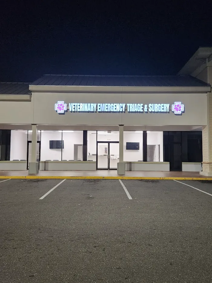 VETS ER: Veterinary Emergency Triage and Surgery 12