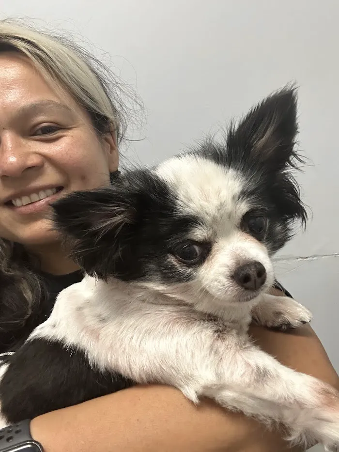 Sun City Center Veterinary Clinic 12
