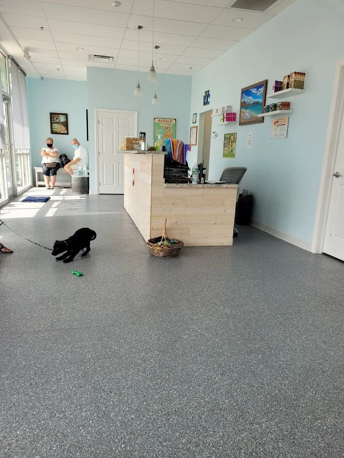 Sun City Center Veterinary Clinic 12