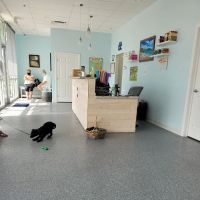 Sun City Center Veterinary Clinic ico