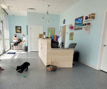Sun City Center Veterinary Clinic