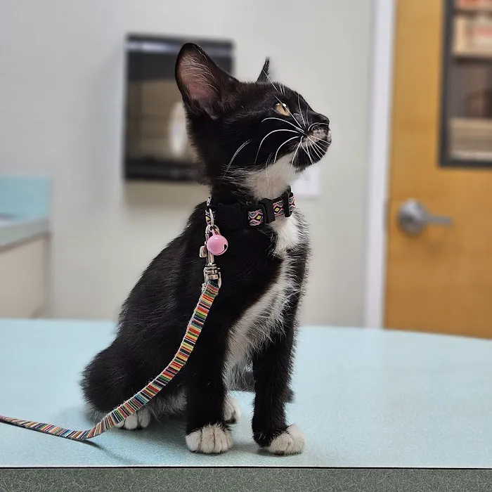 Lakeland Veterinary Hospital & Wellness Center 12