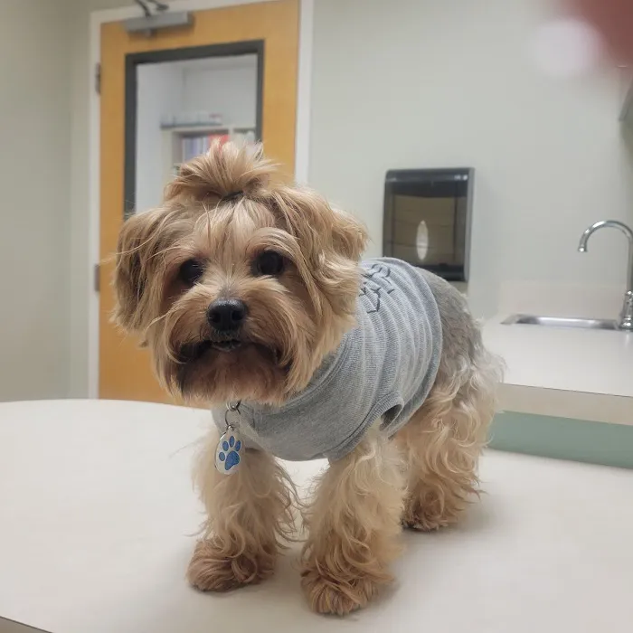 Lakeland Veterinary Hospital & Wellness Center 12